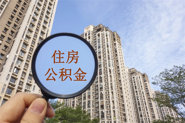 仁寿14年公积金多少钱（仁寿14年公积金利率是多少）